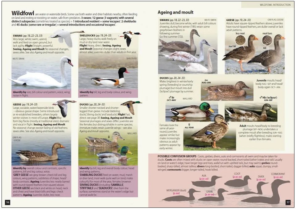 europe's birds. an identification guide