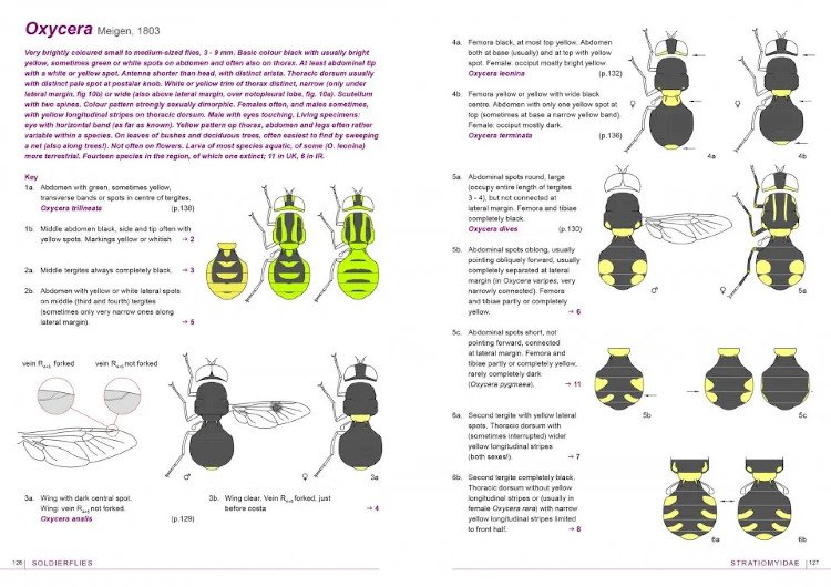 field guide to flies with three pulvilli. families of homeodactyla of northwest europe