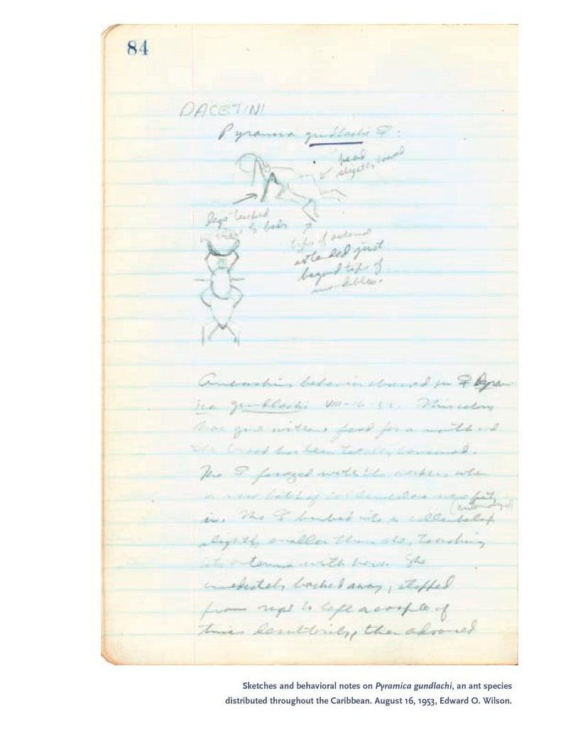field notes on science and nature