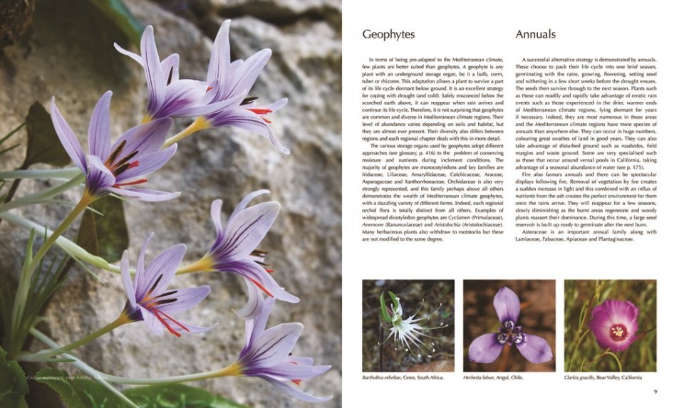 flora of the mediterranean. with california, chile, australia & south africa. an illustrated guide
