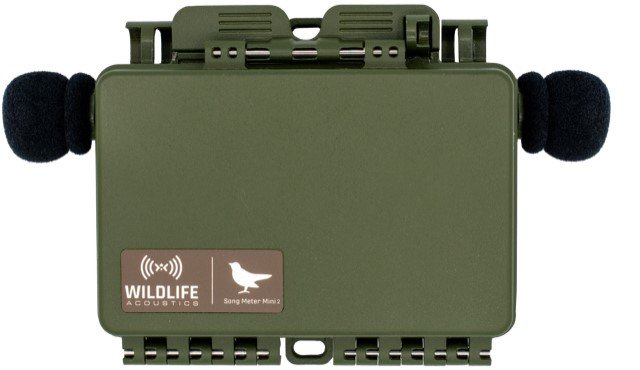 grabadora pasiva de sonidos audibles song meter mini 2 para pilas aa de wildlife acoustics (sm mini 2 aa)