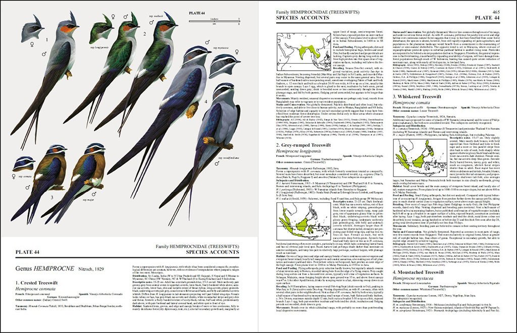 handbook of the birds of the world, vol. 5. barn-owls to hummingbirds