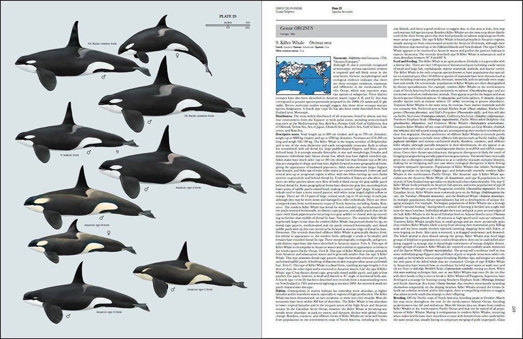 handbook of the mammals of the world. vol. 4 sea mammals