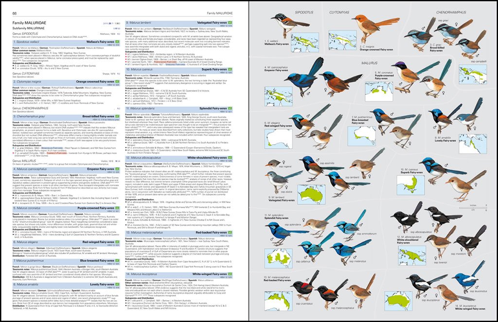 hbw and birdlife international illustrated checklist of the birds of the world. vol. 2