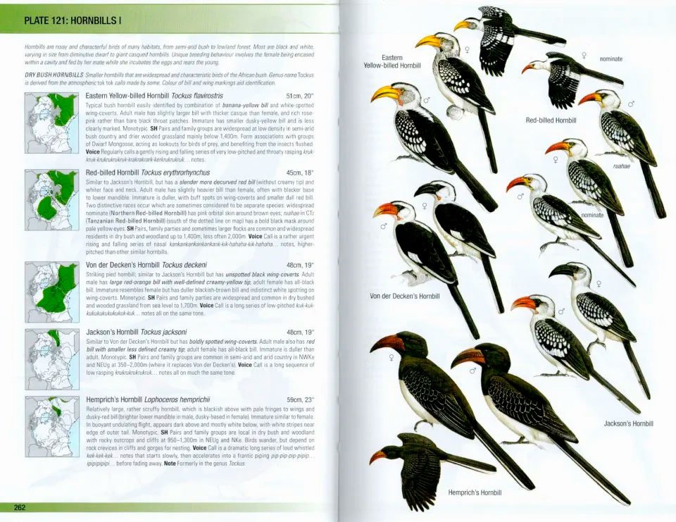 helm field guides. birds of east africa. kenya, tanzania, uganda, rwanda, burundi