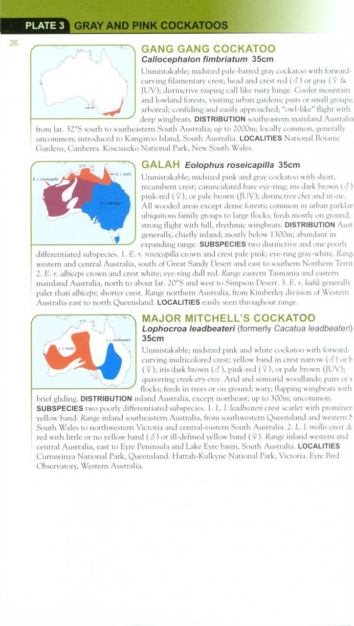 helm field guides. parrots of the world