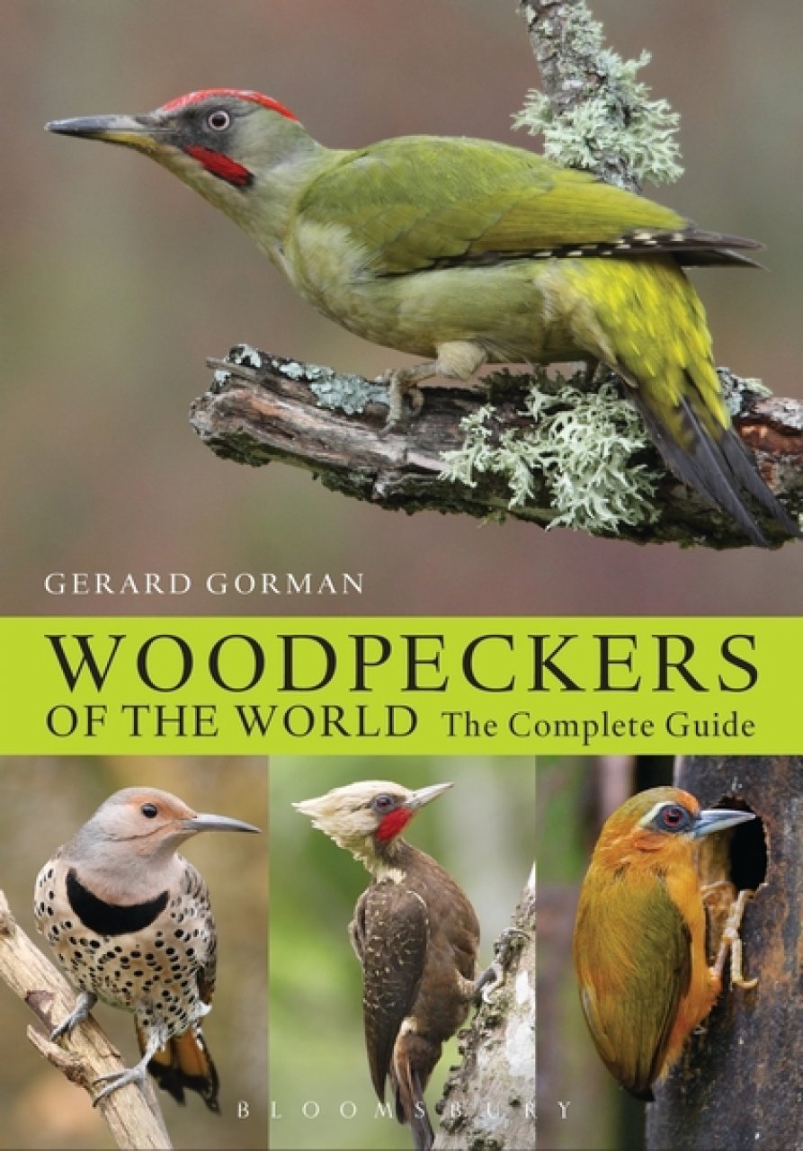 helm photographic guides. woodpeckers of the world