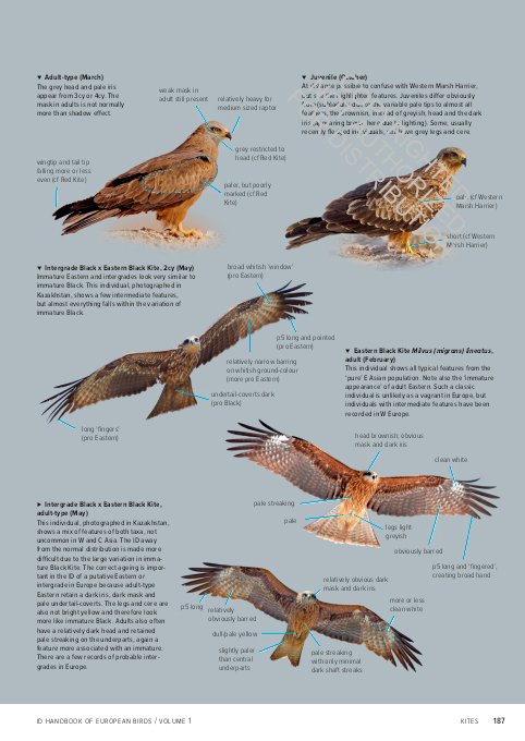 id handbook of european birds (2-volume set)