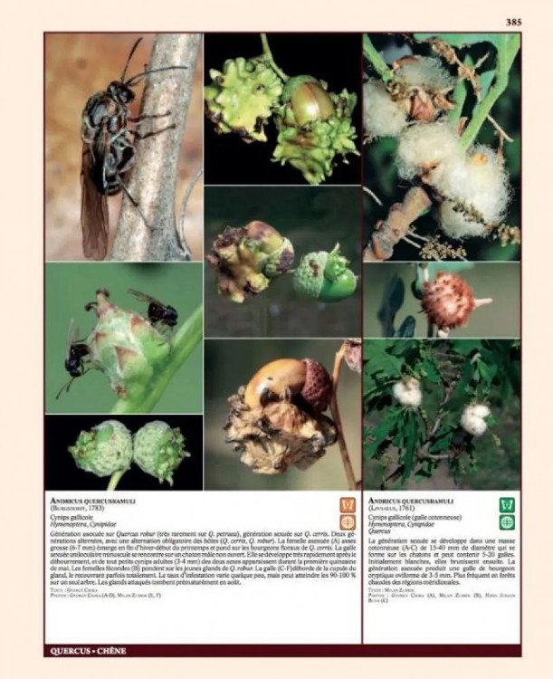 insectes ravageurs et maladies des arbres et arbustes d'europe