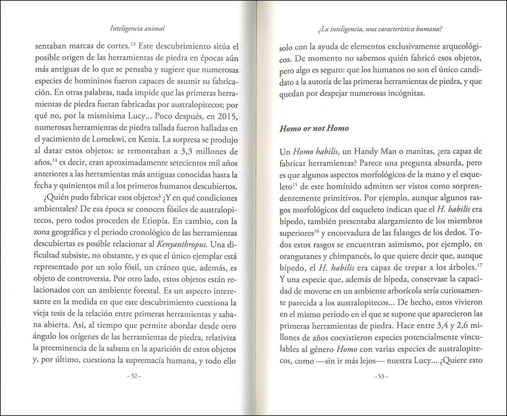inteligencia animal. cabeza de chorlitos y memoria de elefantes