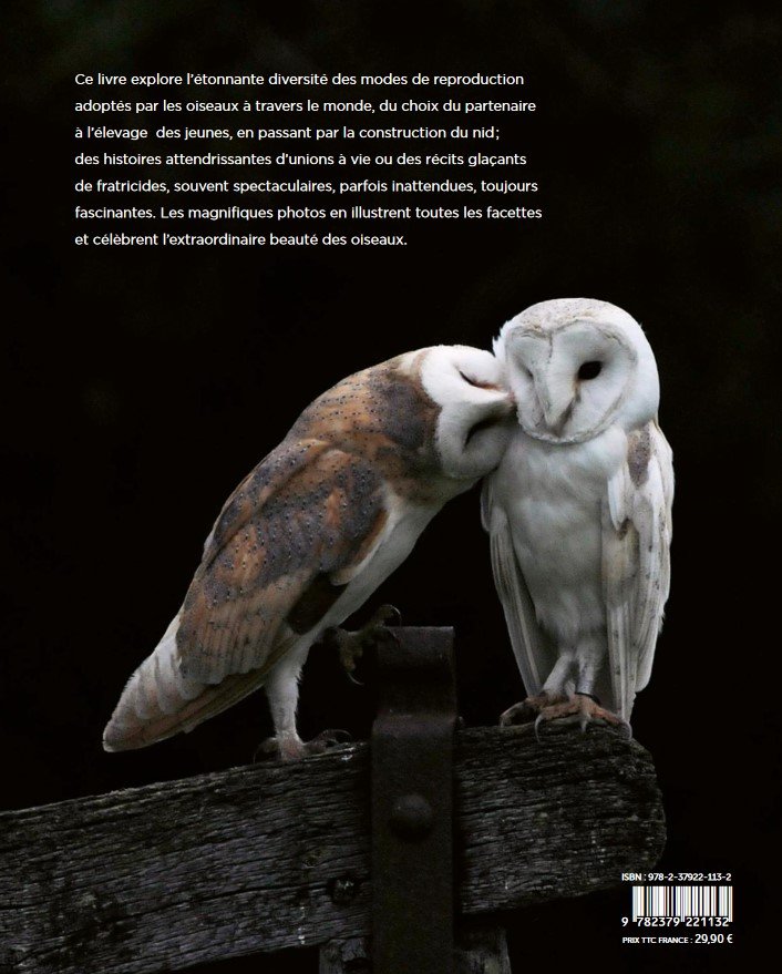 la vie amoureuse des oiseaux - etonnantes strategies de reproduction