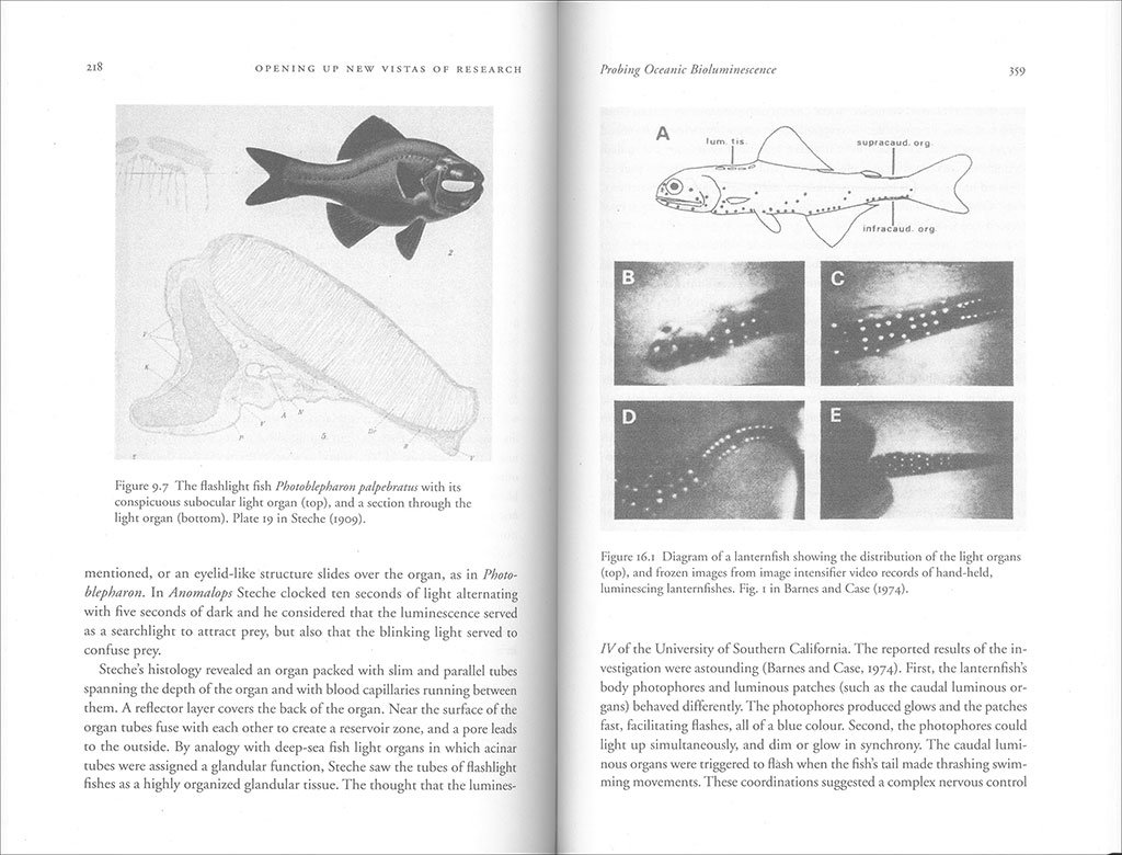 luminous creatures: the history and science of light production in living organisms