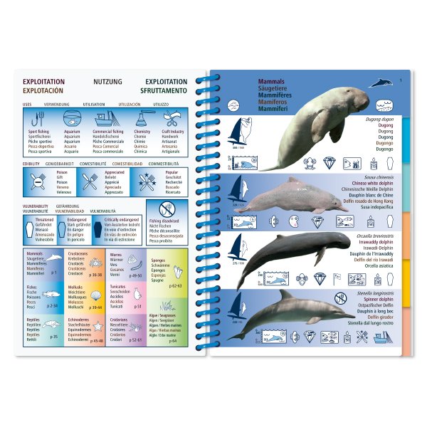 marine pictolife. asian pacific