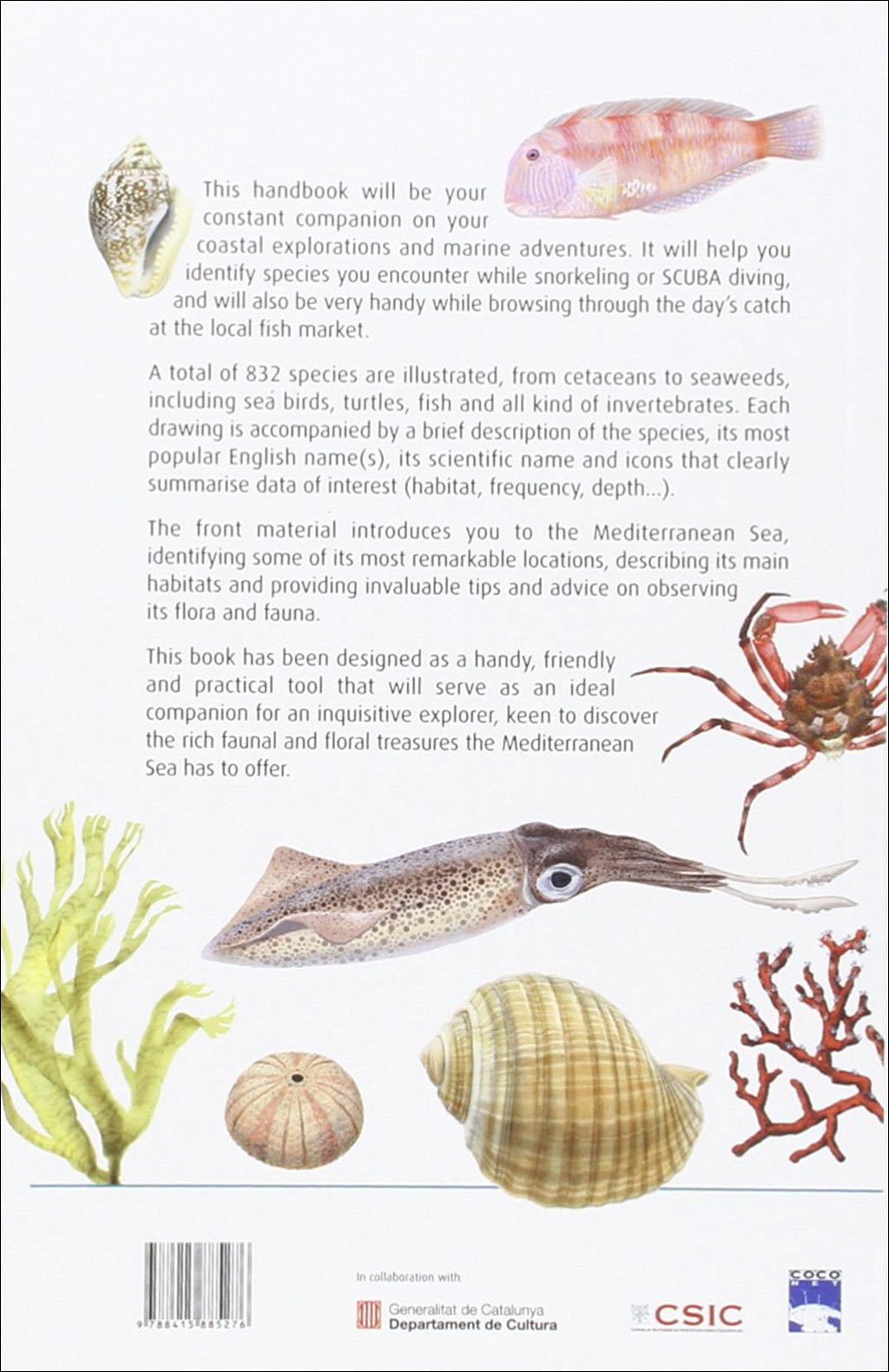 marine wildlife of the mediterranean