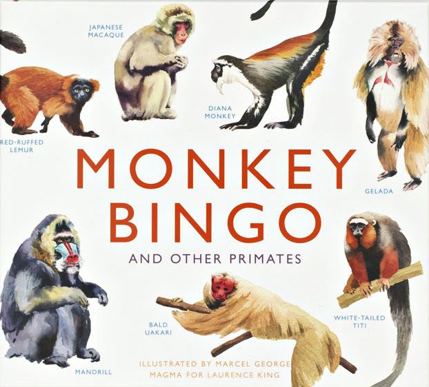 monkey bingo and other primates - bingo de primats - bingo de primates