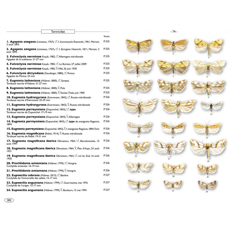 moths of europe volume 7. microlepidoptera 1