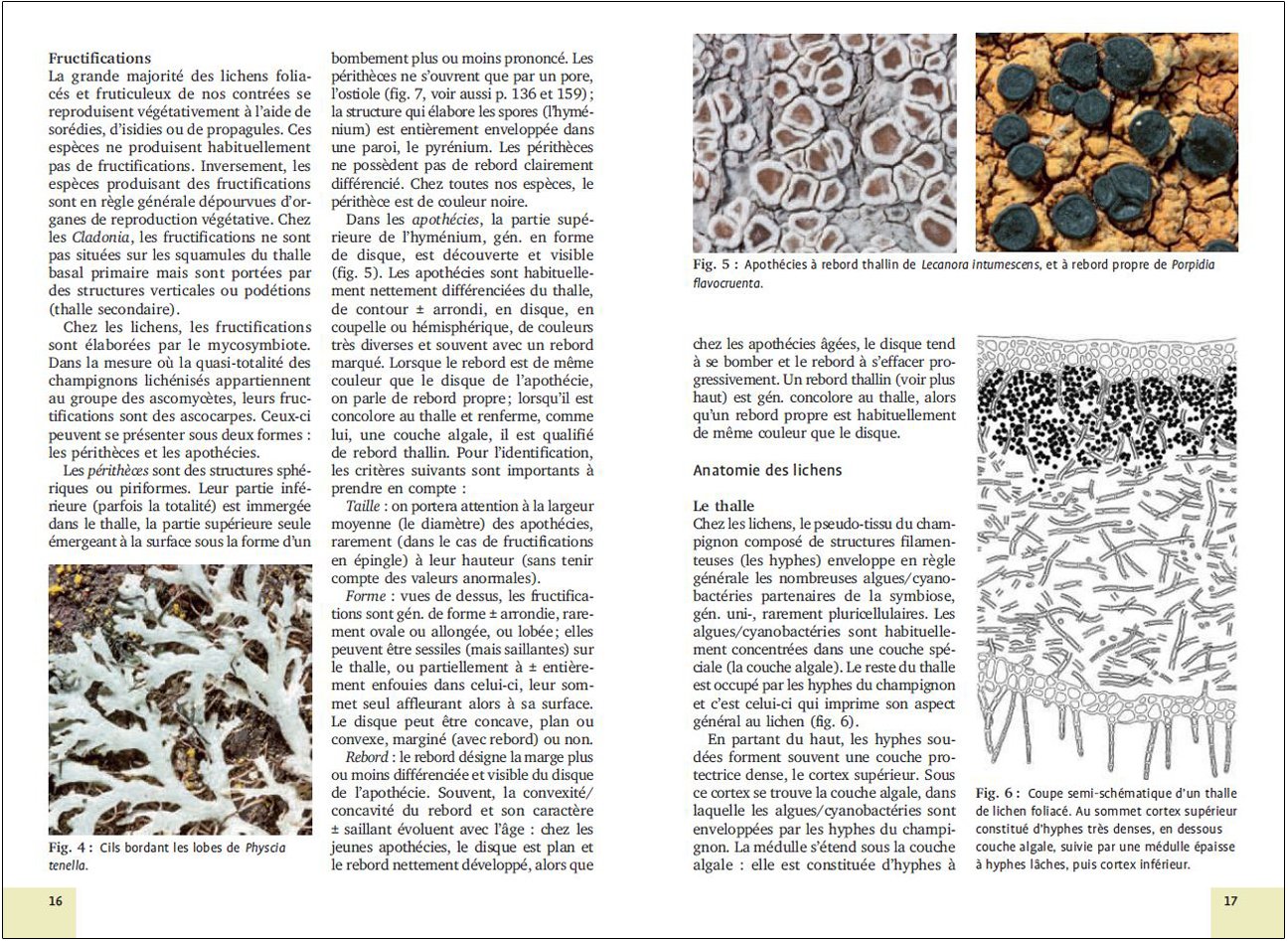 mousses et lichens. 290 especes faciles a identifier