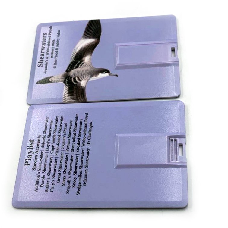 multimedia identification guide to north atlantic seabirds. shearwaters. jouanin's & white-chinned petrels