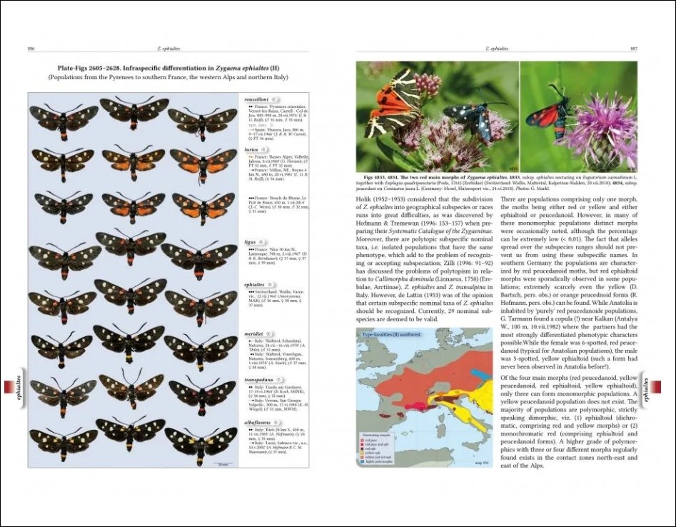 natural history of burnet moths (zygaena fabricius, 1775) (lepidoptera: zygaenidae) part 3 (2-volume set)