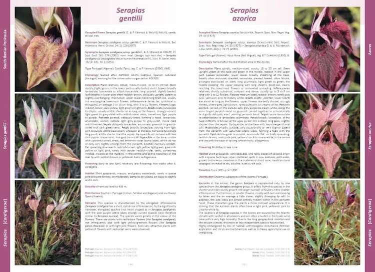 orchids of europe, north africa and the middle east