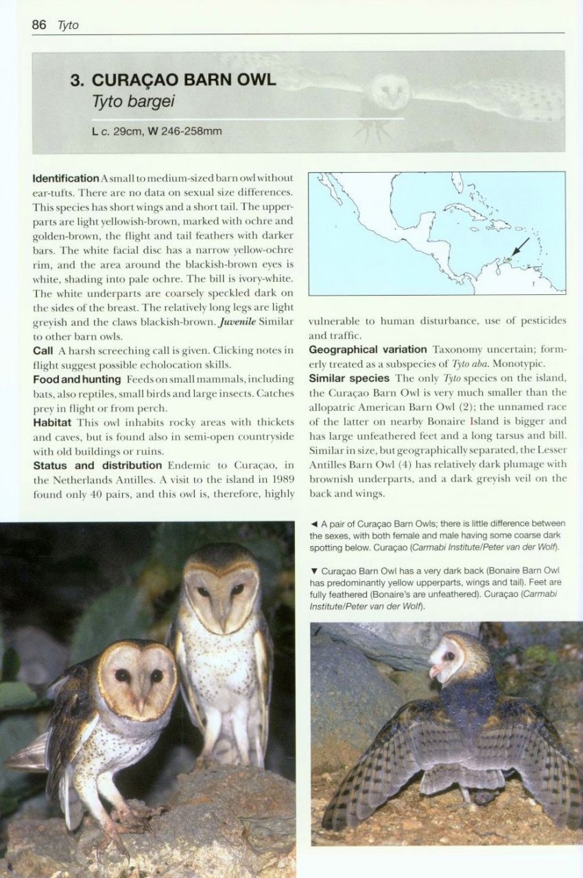 owls of the world. a photographic guide