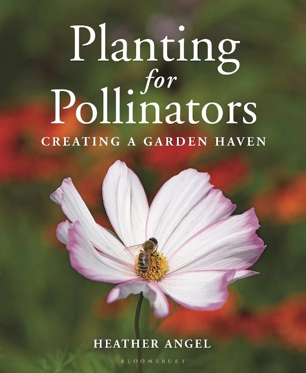 planting for pollinators. creating a garden heaven