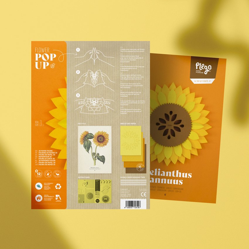 plego pop up helianthus annuus (girasol)