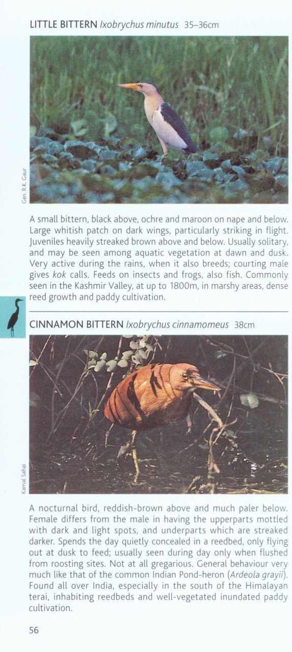 pocket photo guide to the birds of the himalayas