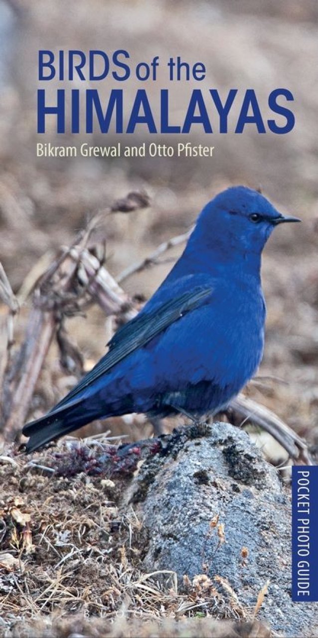pocket photo guide to the birds of the himalayas