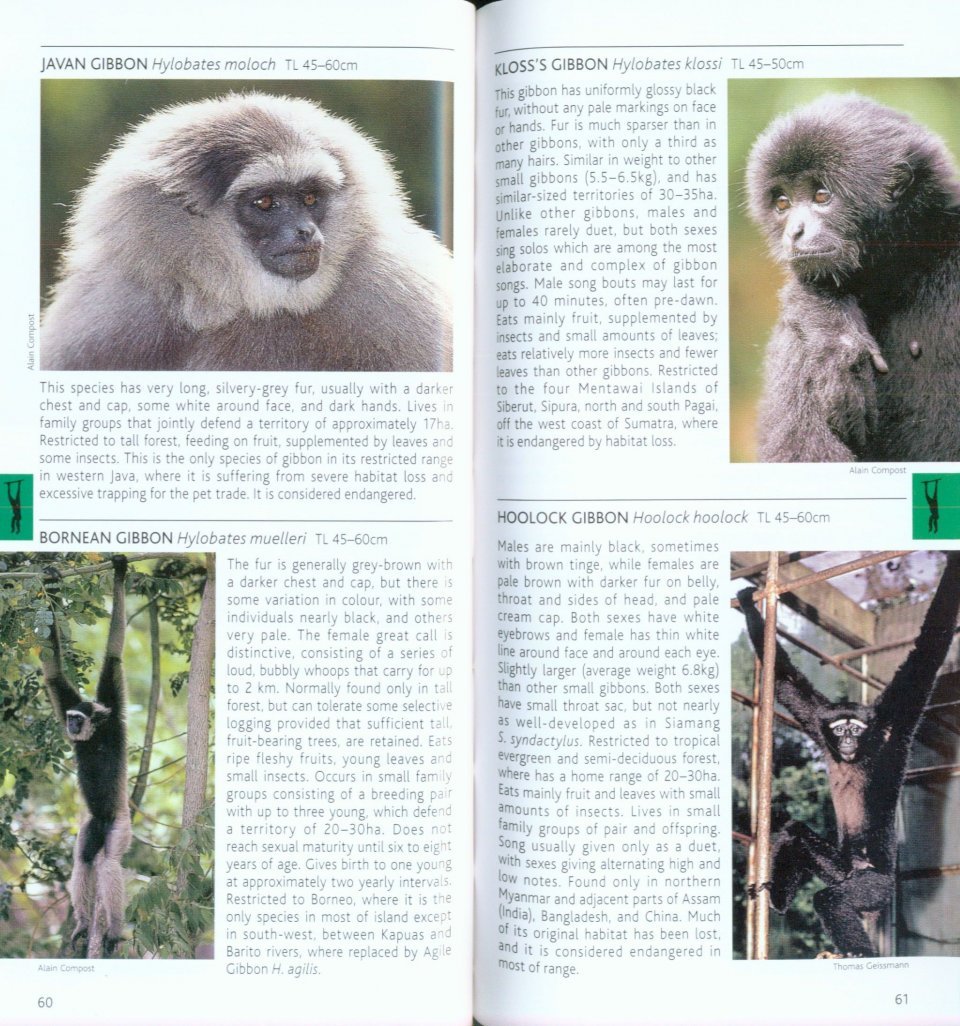 pocket photo guide to the mammals of south-east asia
