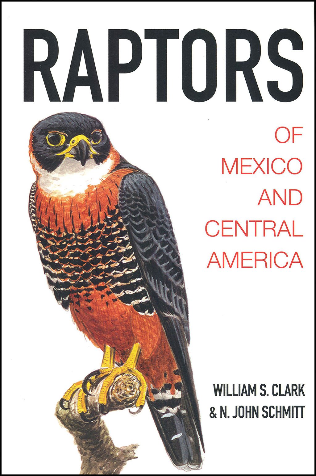 raptors of mexico and central america