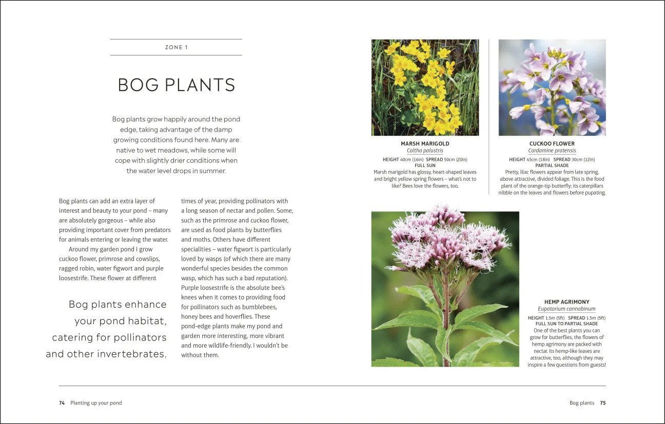 rhs how to create a wildlife pond. plan, dig and enjoy a natural pond in your own back garden