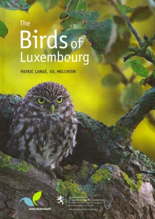 the birds of luxembourg