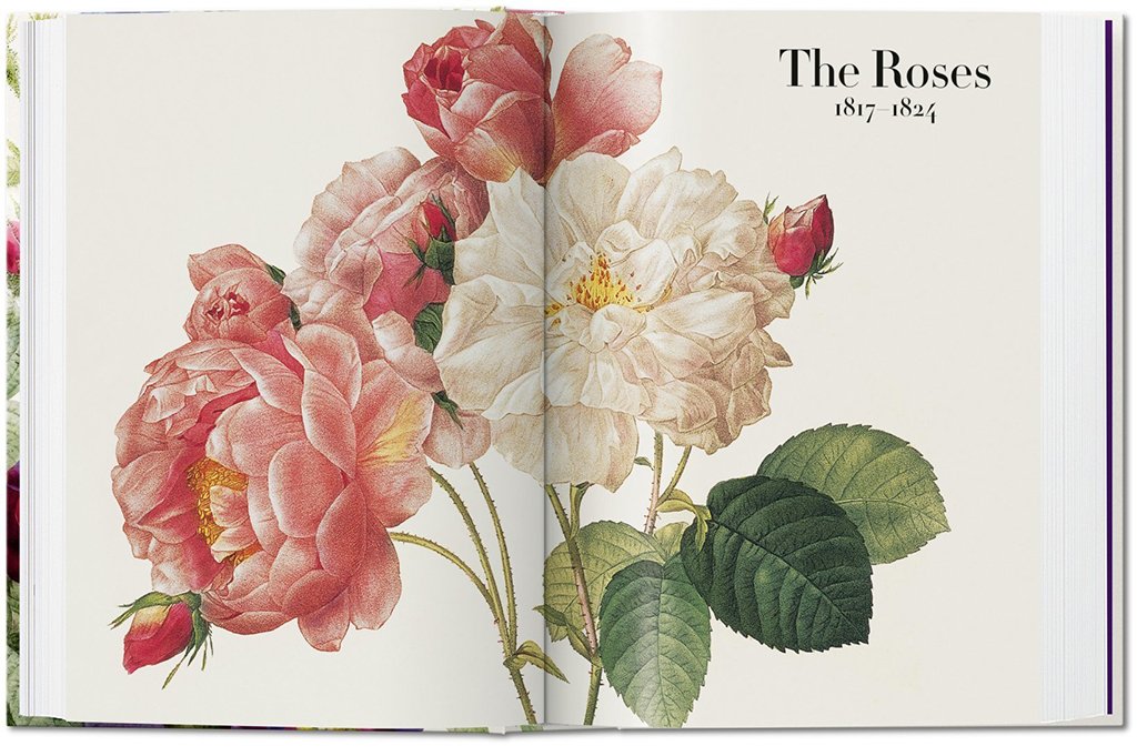 the book of flowers