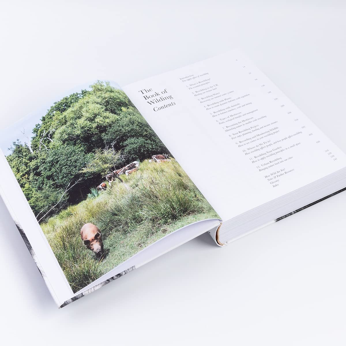 the book of wilding. a practical guide to rewilding, big and small