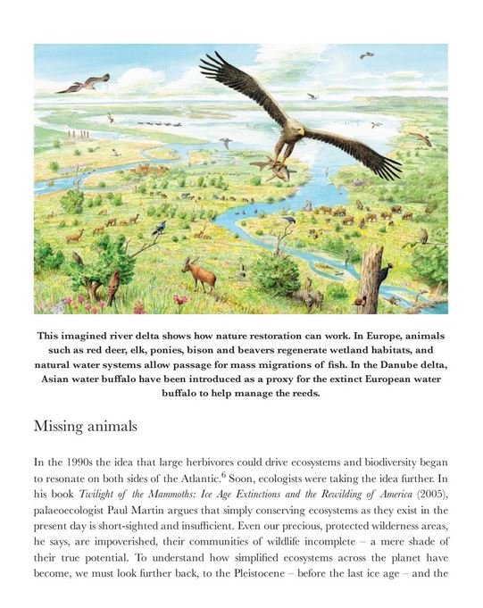 the book of wilding. a practical guide to rewilding, big and small