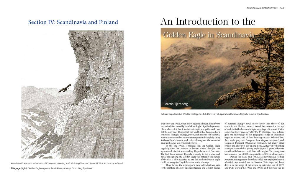the golden eagle around the world: a monograph on a holarctic raptor