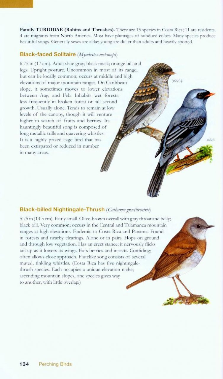 the wildlife of costa rica. a field guide