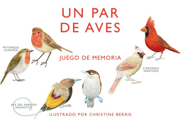 un par de aves. juego de memoria