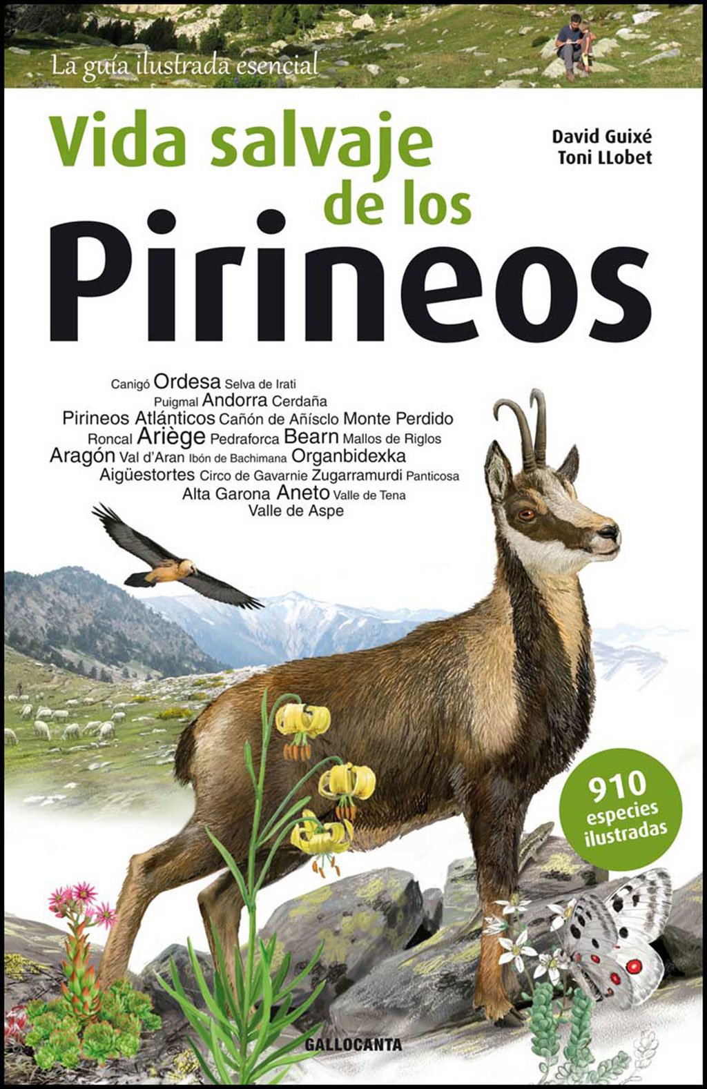 vida salvaje de los pirineos