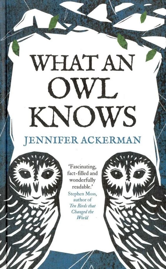 what an owl knows: the science of the world's enigmatic birds