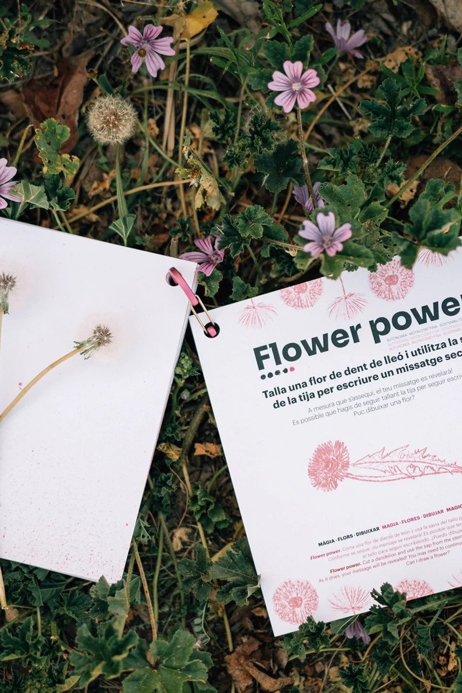 wild book. primavera spring primavera