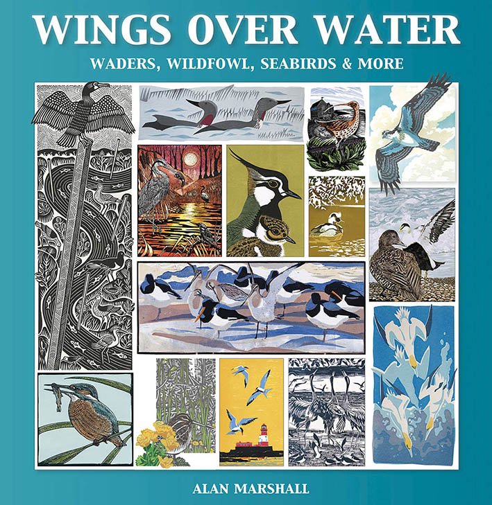 wings over water. waders, wildfowl, seabirds & more