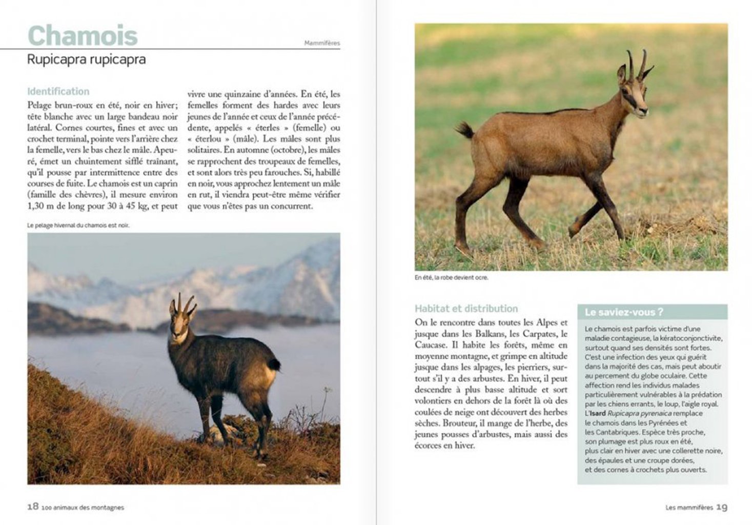 100 animaux des montagnes