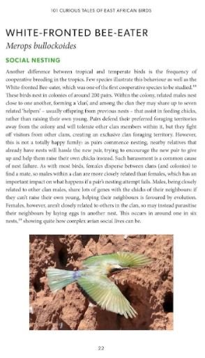 101 curious tales of east african birds. a brief introduction to tropical ornithology