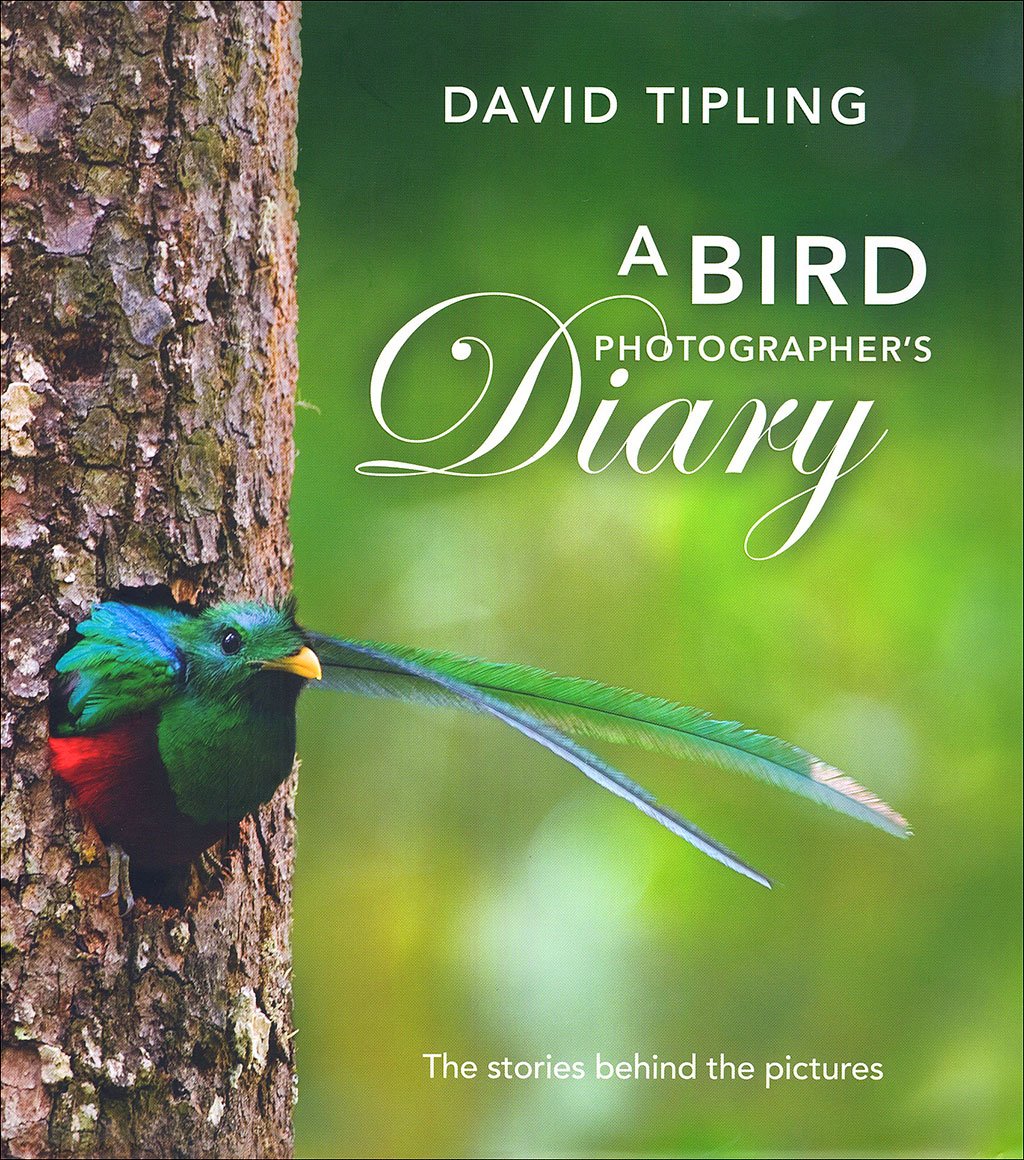 a bird photographer's diary
