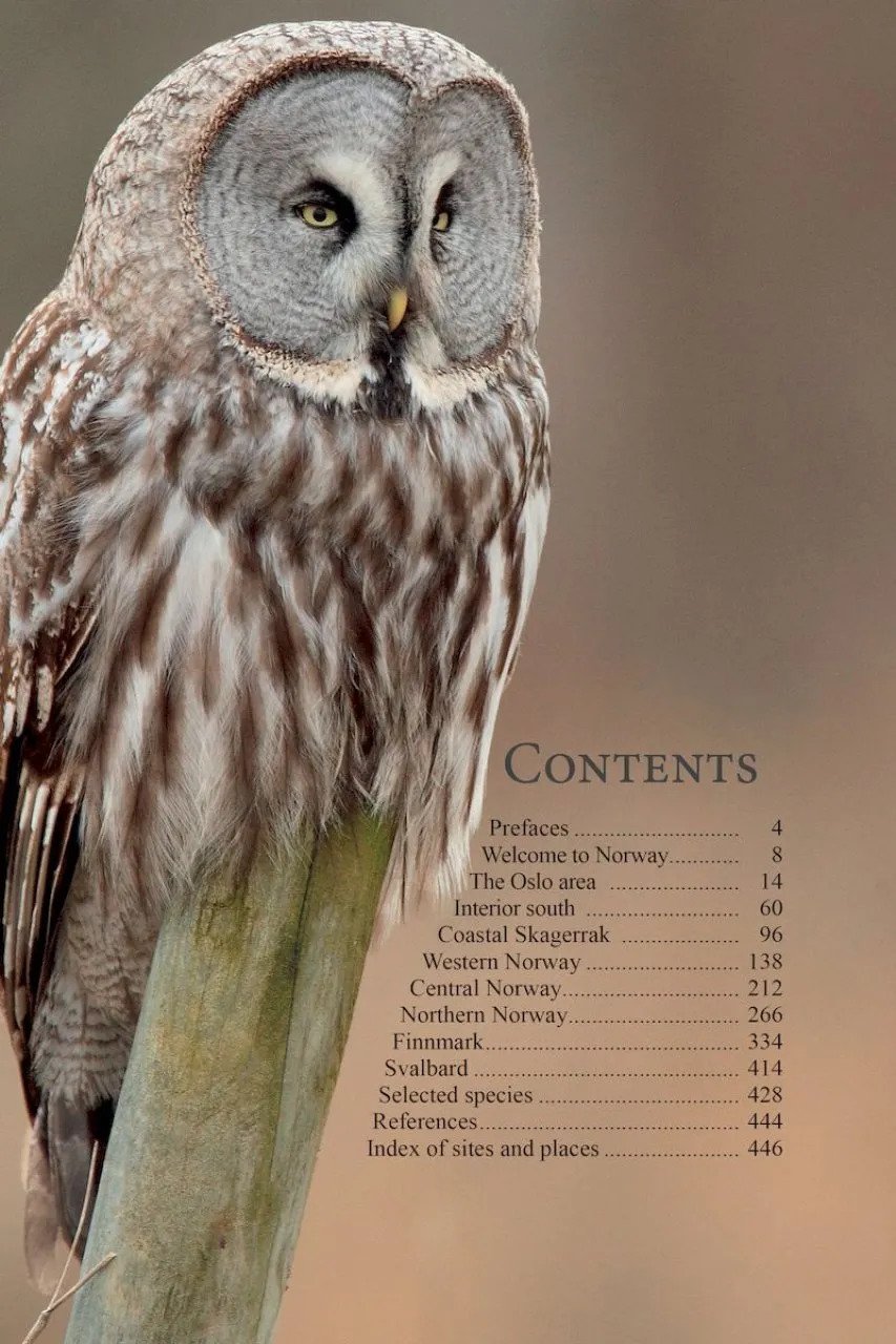 a birdwatcher's guide to norway. where, when and how to find scandinavia's most sought-after birds featuring varanger, svalbard, lofoten, oslo bergen & more
