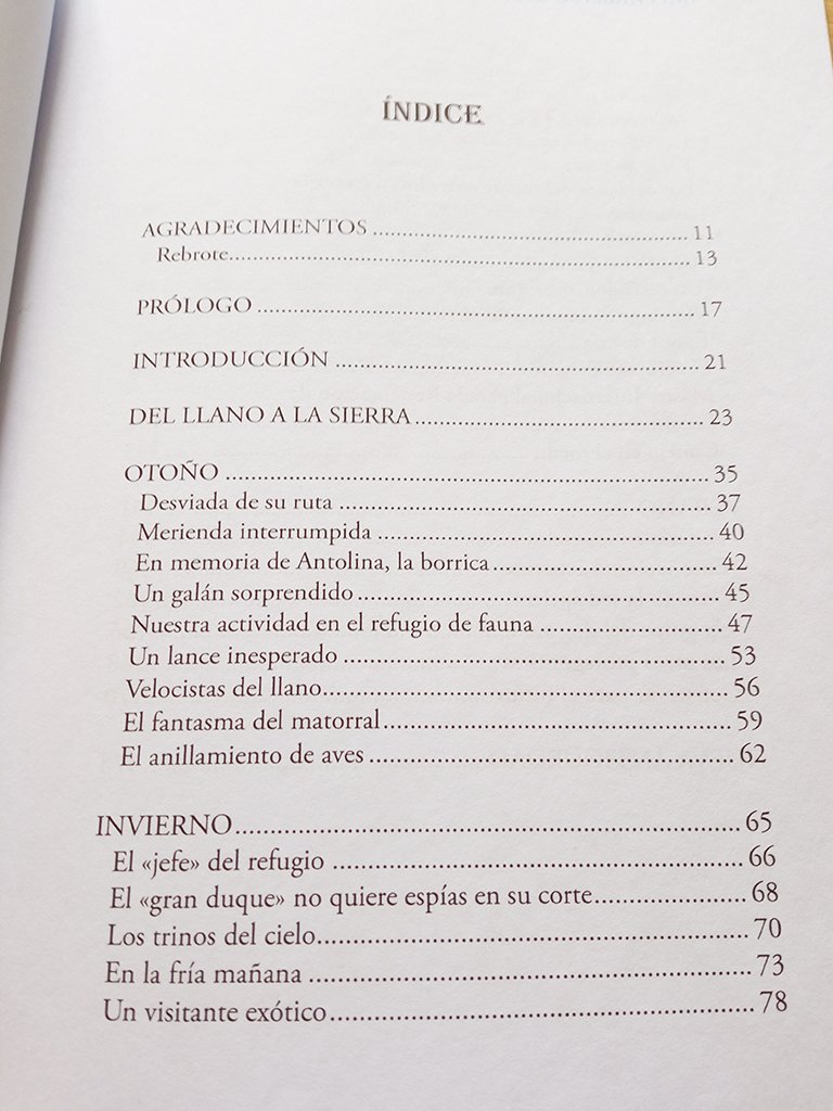 alas para la memoria