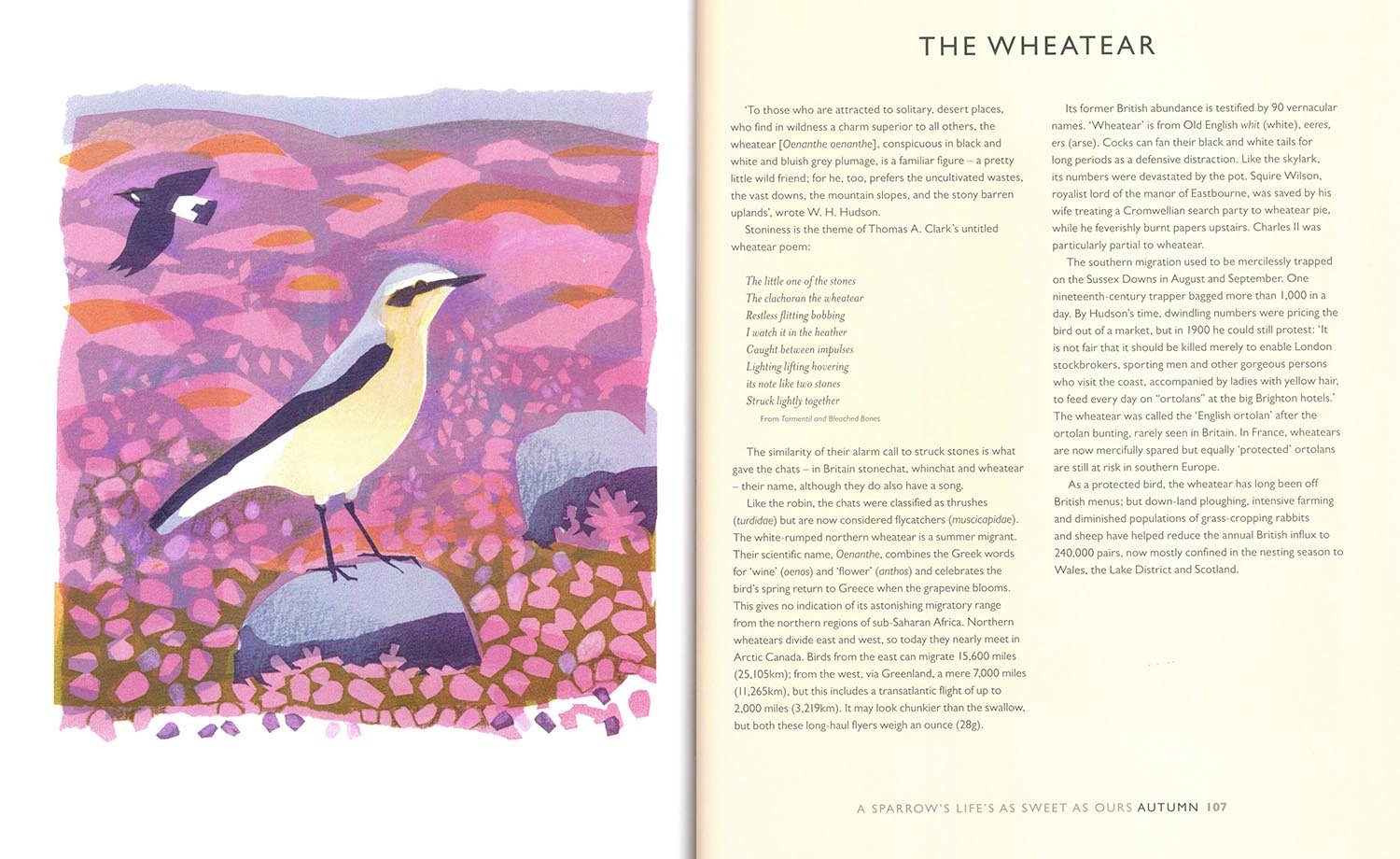 a sparrow's life's as sweet as ours