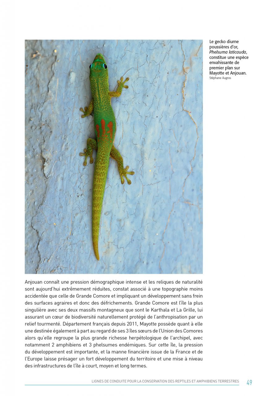 atlas des amphibiens et des reptiles terrestres de l'archipel des comores
